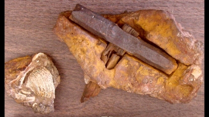 Wer war Ötzi? Die 5300 Jahre alte Gletschermumie
